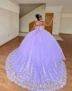 3D Flower Applique Lilac Quinceanera Dress 2024 Ball Gown Corset Mexican Sweet 16 Vestido De 15 Anos With Cape