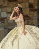 Champagne Quinceanera Dresses Sweetheart Neck 2024 Ball Gown Princess Dress Lace Appliques Sweet 15 Prom Party Dress