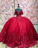 Customized Burgundy Quinceanera Dress Ball Gown 3D Floral Applique Sweet 16 Vestidos De 15 Anos