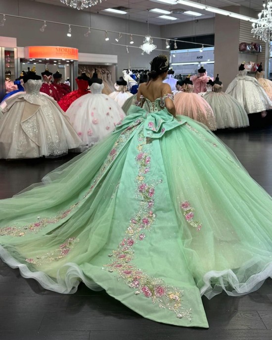 Customized Sage Green Ball Gown Quinceanera Dresses 2025 Appliques Evening Dress Vestido De 15 Anos