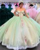 Customized Sage Green Ball Gown Quinceanera Dresses 2025 Appliques Evening Dress Vestido De 15 Anos