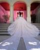 Detachable Sleeve Champagne Quinceanera Dress Sweet 15 Gowns Sequin Vestidos De 15 Anos With Bow