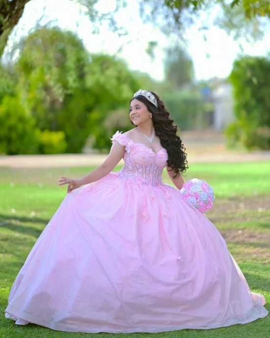 Exquisite Pink Quinceanera Dress Off Shoulder Customize Floor Length Vestidos De 15 Anos