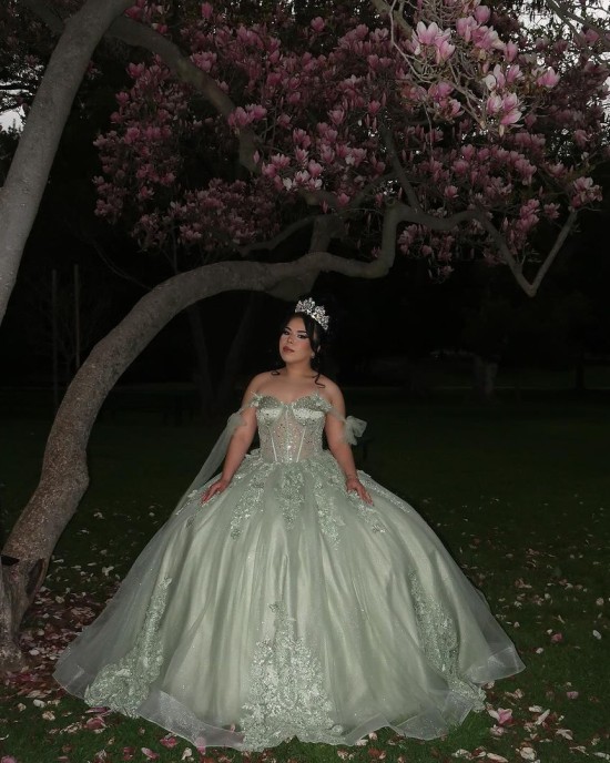 Lace Appliqued Sage Green Quinceanera Dresses With Corset Bodice And Shawl Sleeves