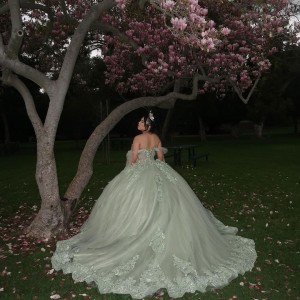 Lace Appliqued Sage Green Quinceanera Dresses With Corset Bodice And Shawl Sleeves