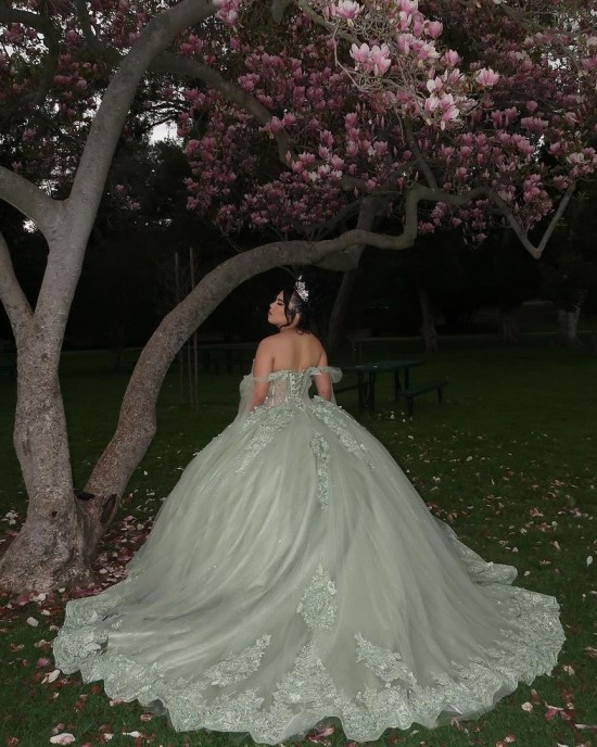 Lace Appliqued Sage Green Quinceanera Dresses With Corset Bodice And Shawl Sleeves