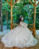 Off Shoulder Vestidos De 15 Anos Sequin Champagne Quinceanera Dress Lace Appliques Sweetheart Neck Princess Dress With Bow