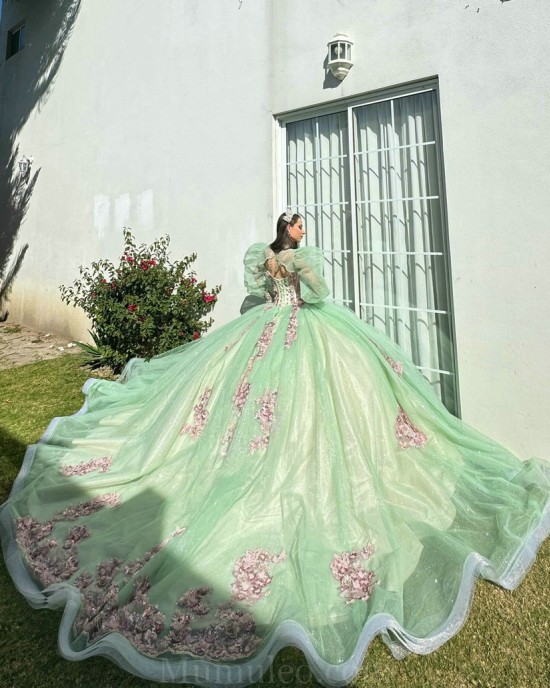 Sage Green Quinceanera Dresses Jacket V Neck 2024 Ball Gown Princess Dress Lace Appliques Vestidos De 15 Anos