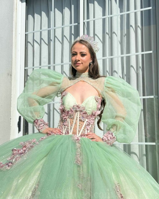 Sage Green Quinceanera Dresses Jacket V Neck 2024 Ball Gown Princess Dress Lace Appliques Vestidos De 15 Anos