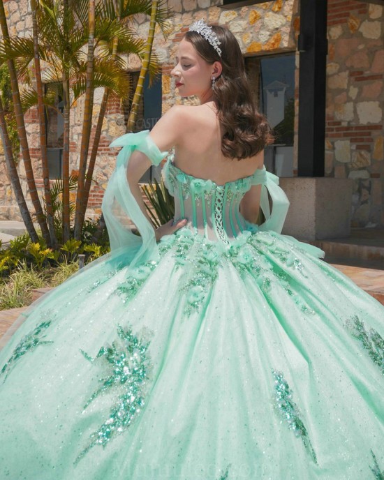 Sagr Green Quinceanera Dresses Sweetheart Neck 2024 Ball Gown Sleeveless Princess Dress Lace Appliques Vestidos De 15 Anos