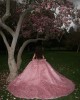 Strapless Corset Pink Quinceanera Dresses 2024 Sparkly Sweet 15 Dress