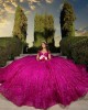 Sweetheart Neck Fuchsia Quinceanera Dress Sequin Vestidos De 15 Anos Off Shoulder Instagram Gown