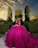 Sweetheart Neck Fuchsia Quinceanera Dress Sequin Vestidos De 15 Anos Off Shoulder Instagram Gown