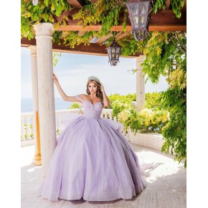 Off Shoulder Sweetheart Neckline Beaded Purple Quinceanera Dresses