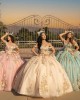 Off Shoulder Sweetheart Neckline Lace Appliques Pink Quinceanera Dresses With Multi Color Floral