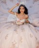 Off Shoulder Three Dimensional Embroidered Champagne Quinceanera Dress With Bow