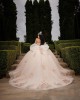 Off Shoulder Three Dimensional Embroidered Champagne Quinceanera Dress With Bow