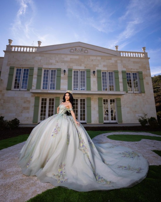 Sweetheart Neckline Off Shoulder Corset Lace Appliques Sage On Nude Quinceanera Dresses With 3D Floral Appliqués