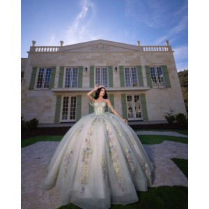 Sweetheart Neckline Off Shoulder Corset Lace Appliques Sage On Nude Quinceanera Dresses With 3D Floral Appliqués