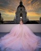 Sweetheart Neckline Off Shoulder Metallic Sequins Sheer Bodice Pink Quinceanera Dress