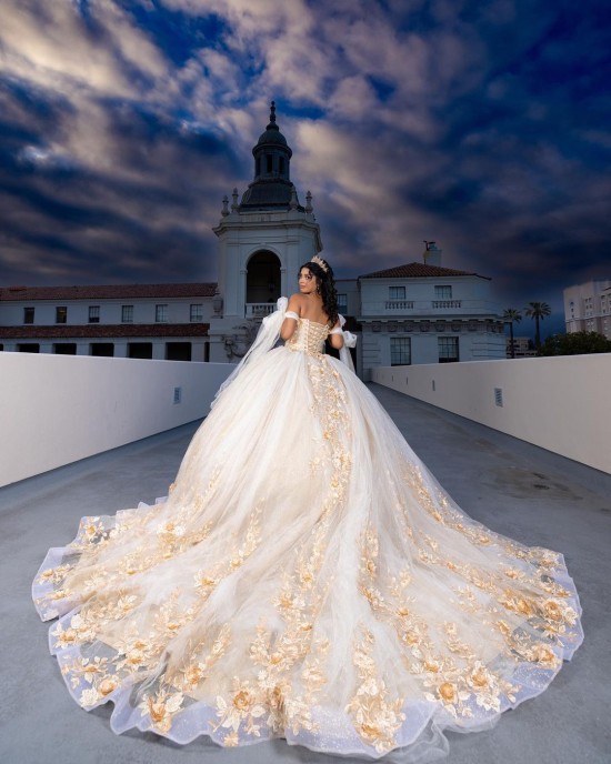 3D Floral Appliqués Off Shoulder Sweetheart Necklin Cape Sleeve Champagne Quinceanera Dress