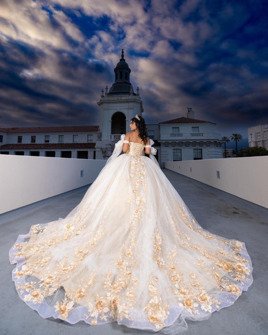 3D Floral Appliqués Off Shoulder Sweetheart Necklin Cape Sleeve Champagne Quinceanera Dress