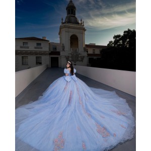 3D Floral Appliqués Puff Sleeve Beading Ball Gown Sweetheart Neckline Sheer Bodice Sky Blue Quinceanera Dresses