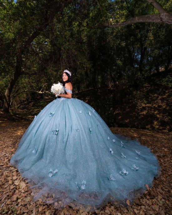 Butterfly Ball Gown Sweetheart Neckline Off Shoulder Lace Appliques Sky Blue Quinceanera Dresses