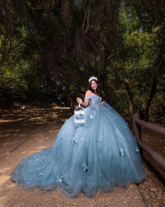 Butterfly Ball Gown Sweetheart Neckline Off Shoulder Lace Appliques Sky Blue Quinceanera Dresses