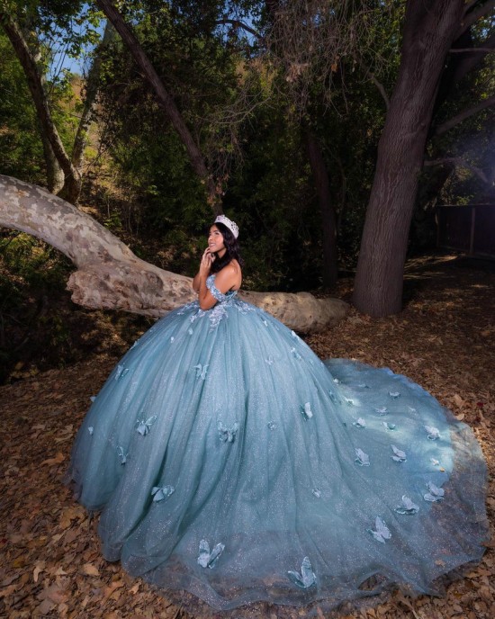 Butterfly Ball Gown Sweetheart Neckline Off Shoulder Lace Appliques Sky Blue Quinceanera Dresses