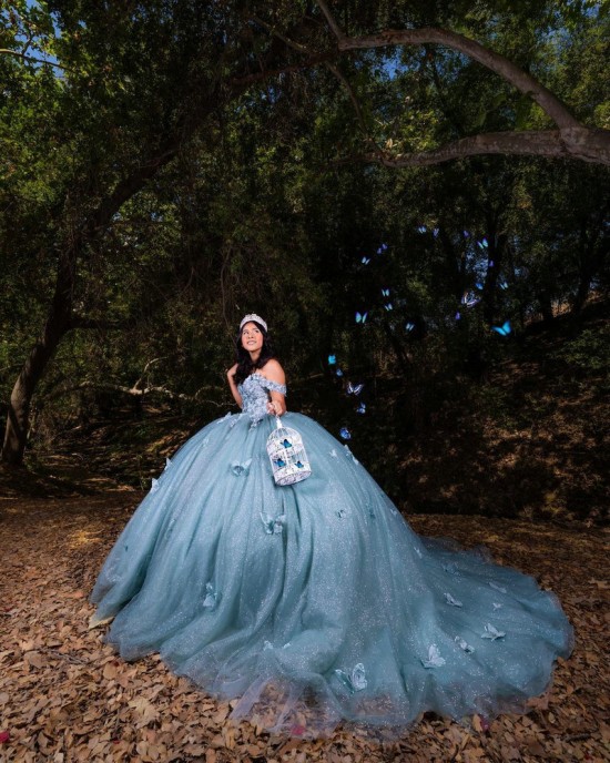 Butterfly Ball Gown Sweetheart Neckline Off Shoulder Lace Appliques Sky Blue Quinceanera Dresses