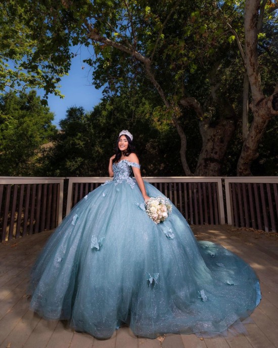 Butterfly Ball Gown Sweetheart Neckline Off Shoulder Lace Appliques Sky Blue Quinceanera Dresses