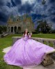 Long Sleeve Beading Ball Gown 3D Flower Lilac Quinceanera Dresses