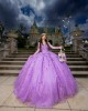 Long Sleeve Beading Ball Gown 3D Flower Lilac Quinceanera Dresses