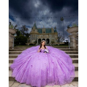 Long Sleeve Beading Ball Gown 3D Flower Lilac Quinceanera Dresses