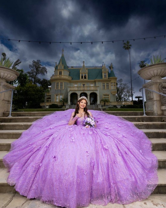 Long Sleeve Beading Ball Gown 3D Flower Lilac Quinceanera Dresses