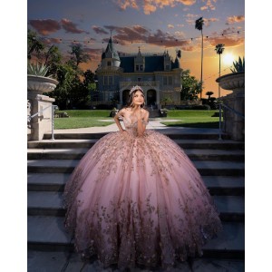 Off Shoulder Beading Ball Gown Sweetheart Neckline Sequin Pink Quinceanera Dress