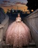 Off Shoulder Beading Ball Gown Sweetheart Neckline Sequin Pink Quinceanera Dress