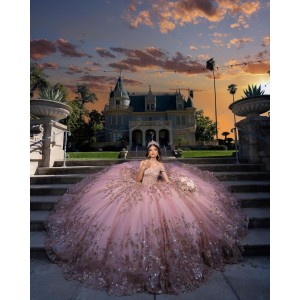 Off Shoulder Beading Ball Gown Sweetheart Neckline Sequin Pink Quinceanera Dress