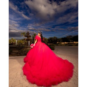 Puff Sleeve Beading Ball Gown Sweetheart Neckline Sequin Berry Red Quinceanera Dresses