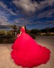 Puff Sleeve Beading Ball Gown Sweetheart Neckline Sequin Berry Red Quinceanera Dresses