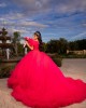 Puff Sleeve Beading Ball Gown Sweetheart Neckline Sequin Berry Red Quinceanera Dresses