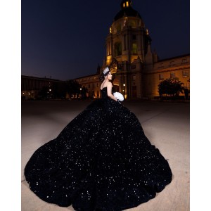 Sleeveless Metallic Sequin Ball Gown Black Quinceanera Dresses