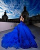 Sleeveless Metallic Sequin Ball Gown Royal Blue Quinceanera Dresses