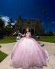 Sweetheart Neckline Ball Gown Three-Dimensional Embroidered Pink Quinceanera Dresses