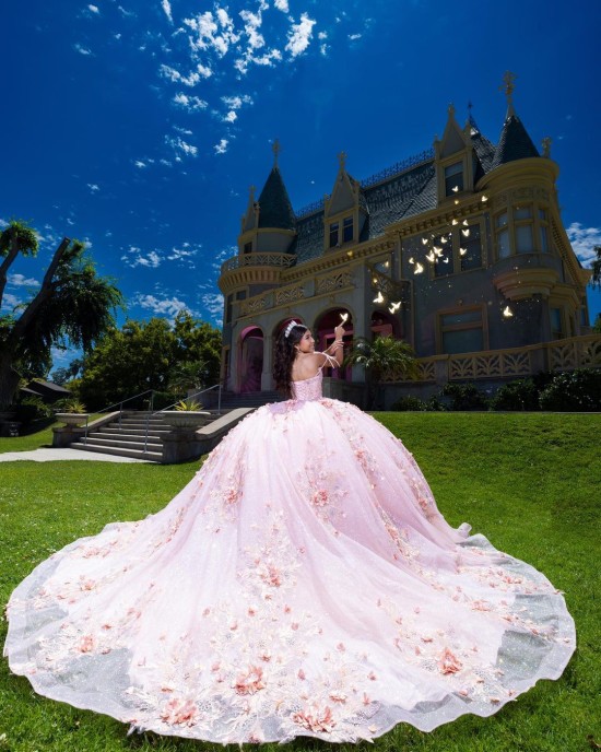 Sweetheart Neckline Ball Gown Three-Dimensional Embroidered Pink Quinceanera Dresses