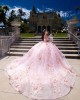 Sweetheart Neckline Ball Gown Three-Dimensional Embroidered Pink Quinceanera Dresses