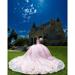 Sweetheart Neckline Ball Gown Three-Dimensional Embroidered Pink Quinceanera Dresses