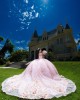 Sweetheart Neckline Ball Gown Three-Dimensional Embroidered Pink Quinceanera Dresses