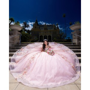 Sweetheart Neckline Ball Gown Three-Dimensional Embroidered Pink Quinceanera Dresses